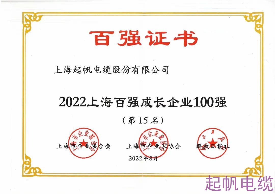 2022年上海企業100強